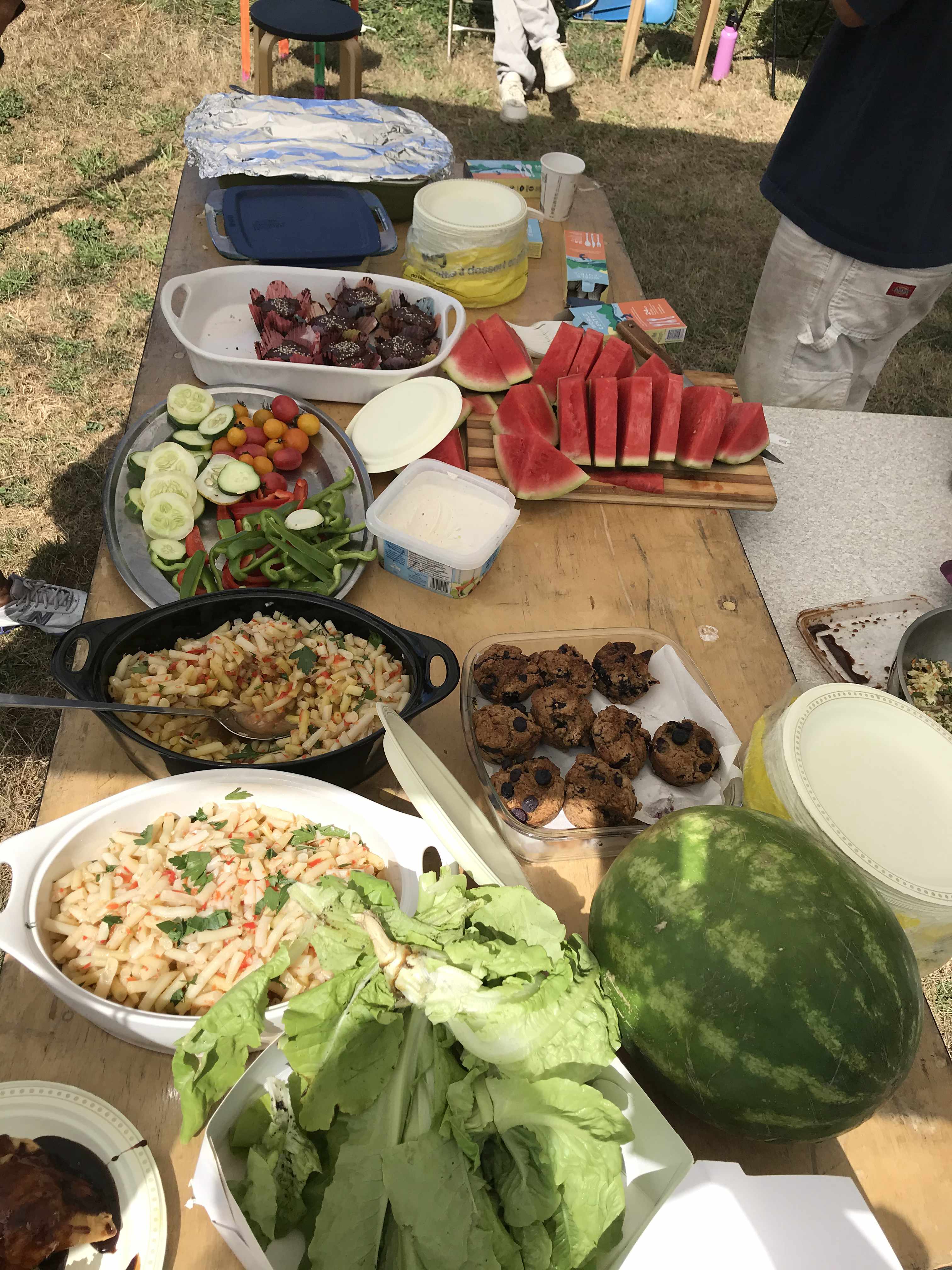 a picnic table full of varius food items, watermelons, chopped veggies, beans, lettuce