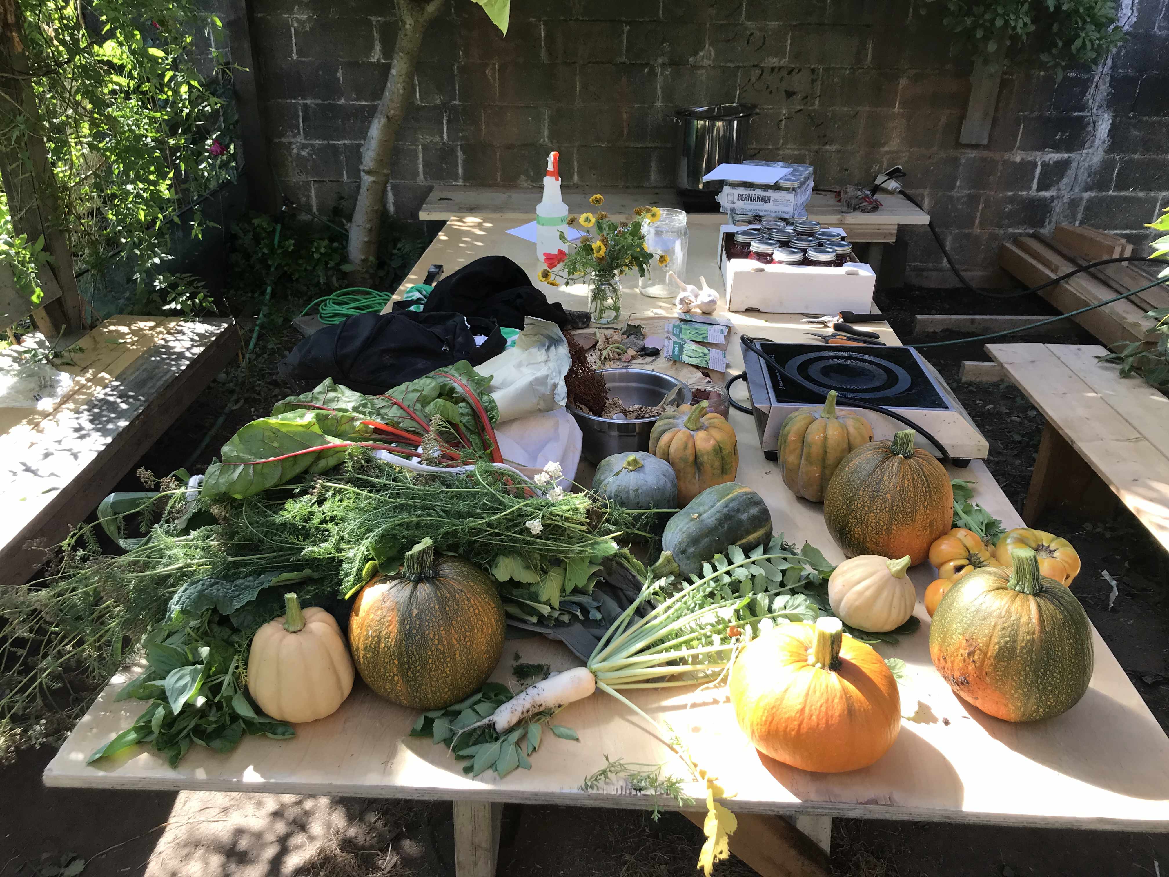 a table full of various vegetation grown in the garden, squash, pumpkins fennel, leafy greens alongside a portable induction element, a vase of flowers, a water sprayer and some jars full of preserves