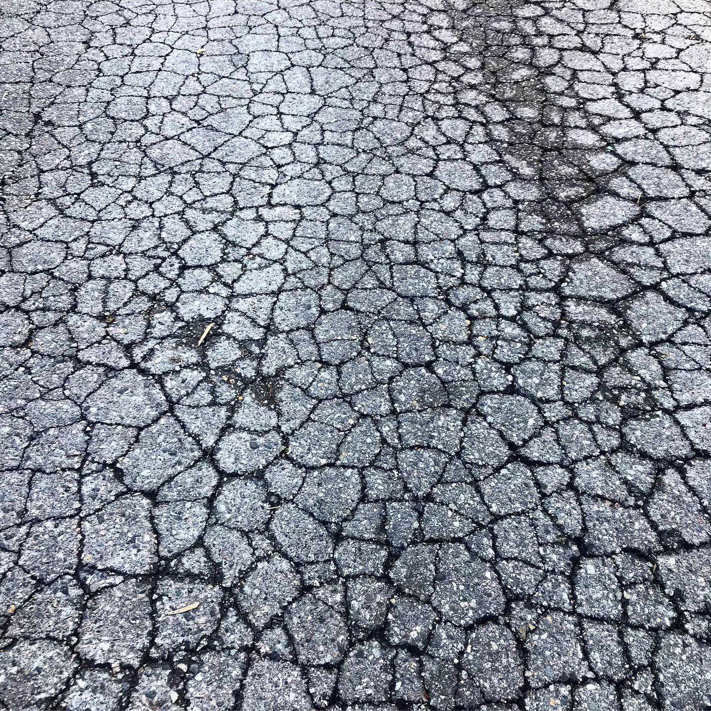 thousands of crack in the pavement of a road