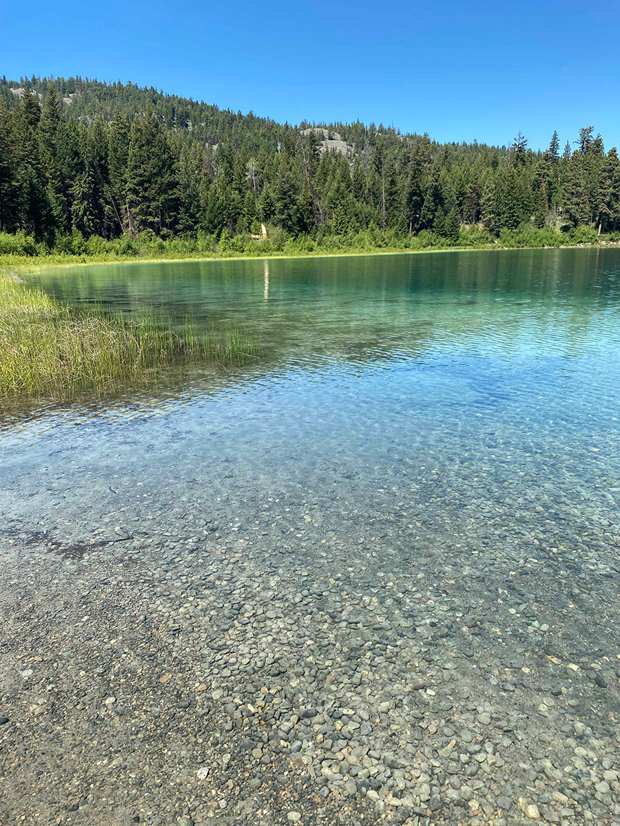 a clear sky above a a crytsal clear lake that makes tiny pebbles visible below the surface surrounded by coniferous trees