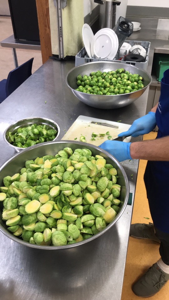prepping station of brussel sprouts, one bowl of washed, one bowl of peels, and one bowl of halfed veggies with a  cutting board and person in medical gloves cutting in the middle. the quantity is large, around 20 kilograms