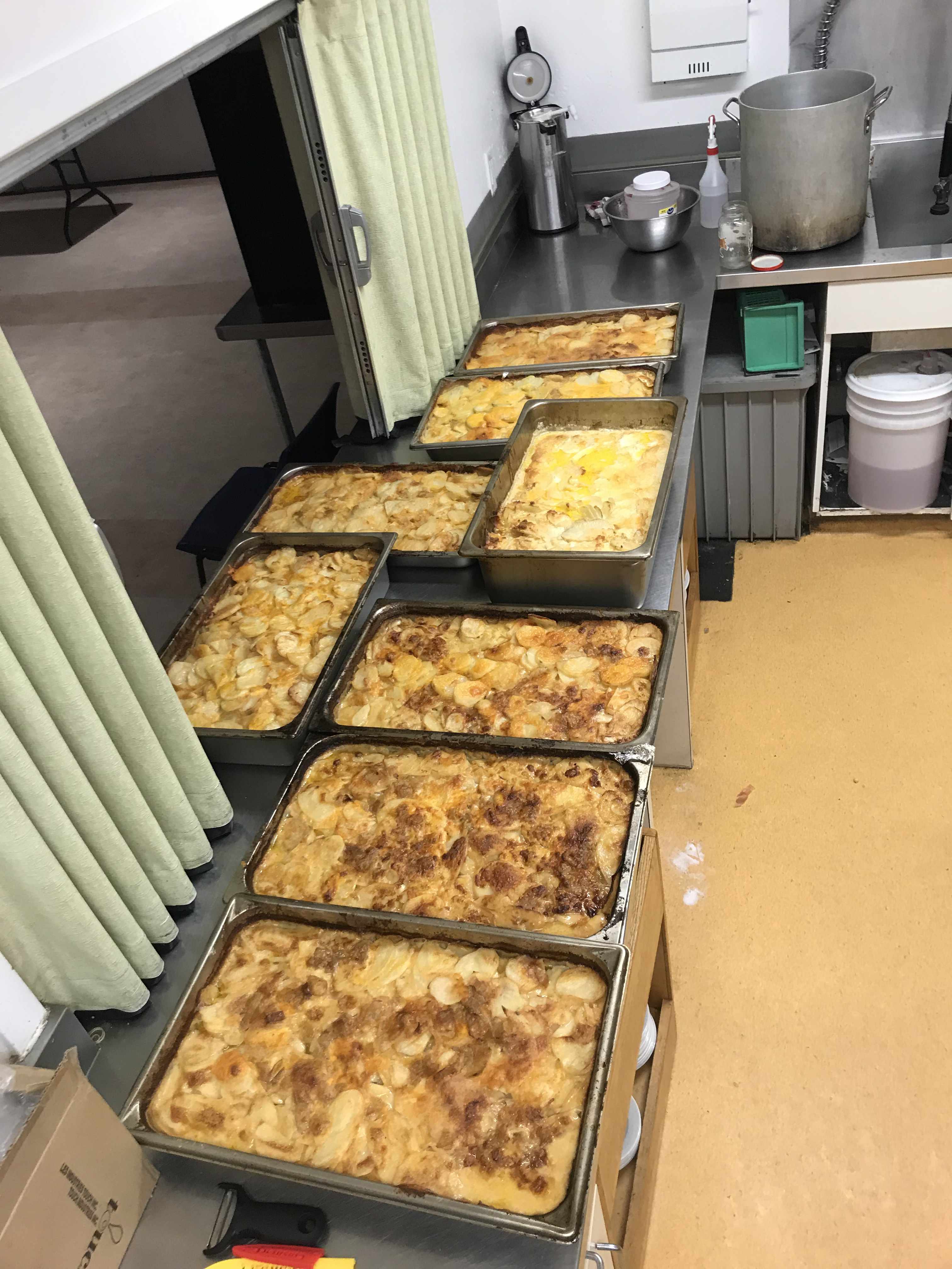 8 hotel pans of scalloped potatoes laid out on the counter.