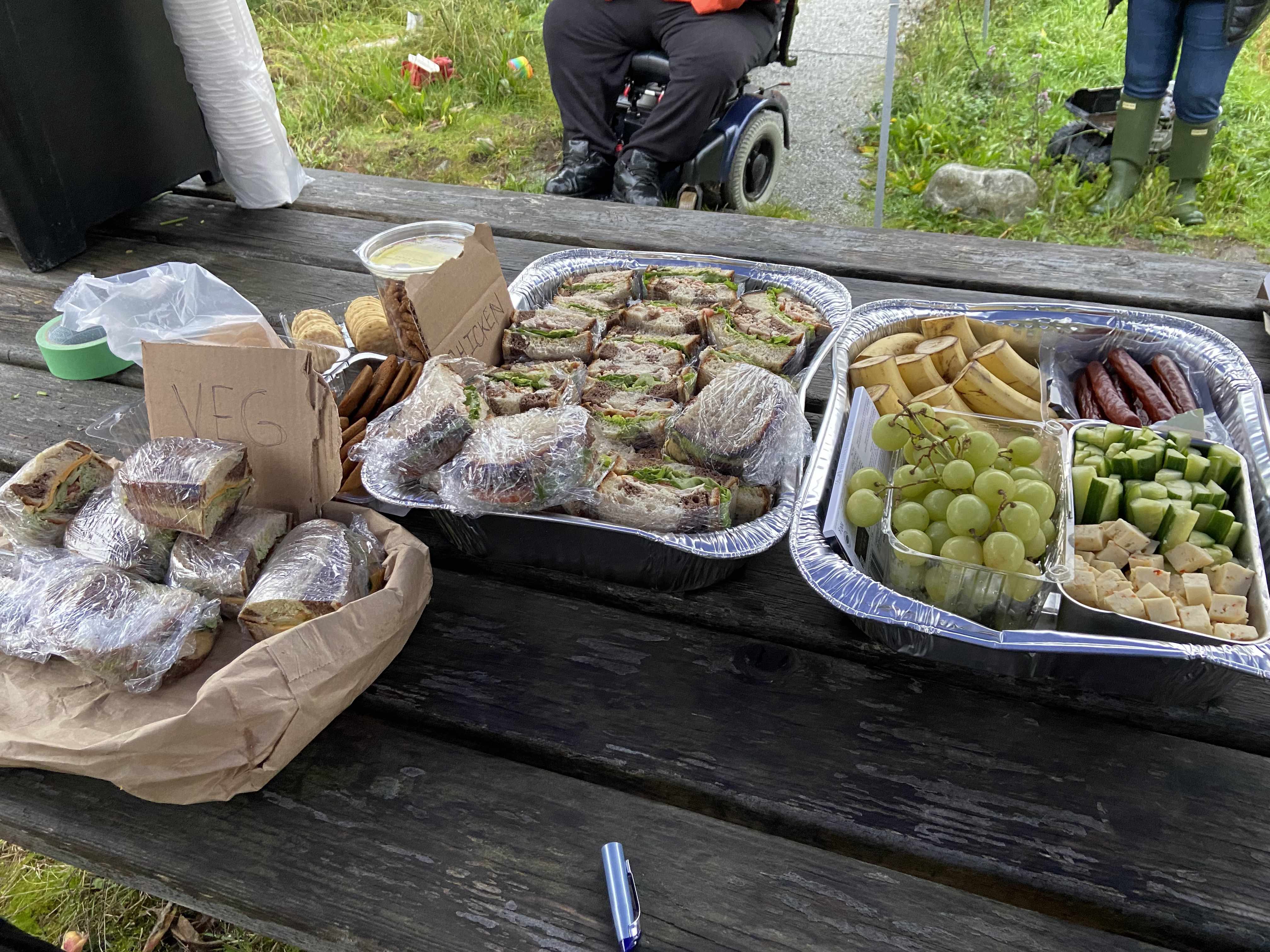 sandwiches cut in half, grapes, bananas, cookies, cheese, cucumbers laid out for guests to nourish themselves on a picnic bench