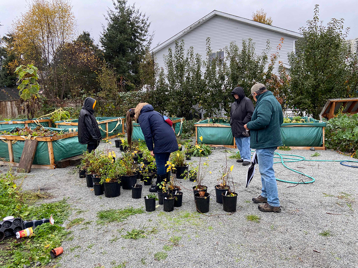a group of people gathered in the middle of harmony community garden. there are raised planter beds around the people and lots of small pots of plants. people are choosing ones to take away