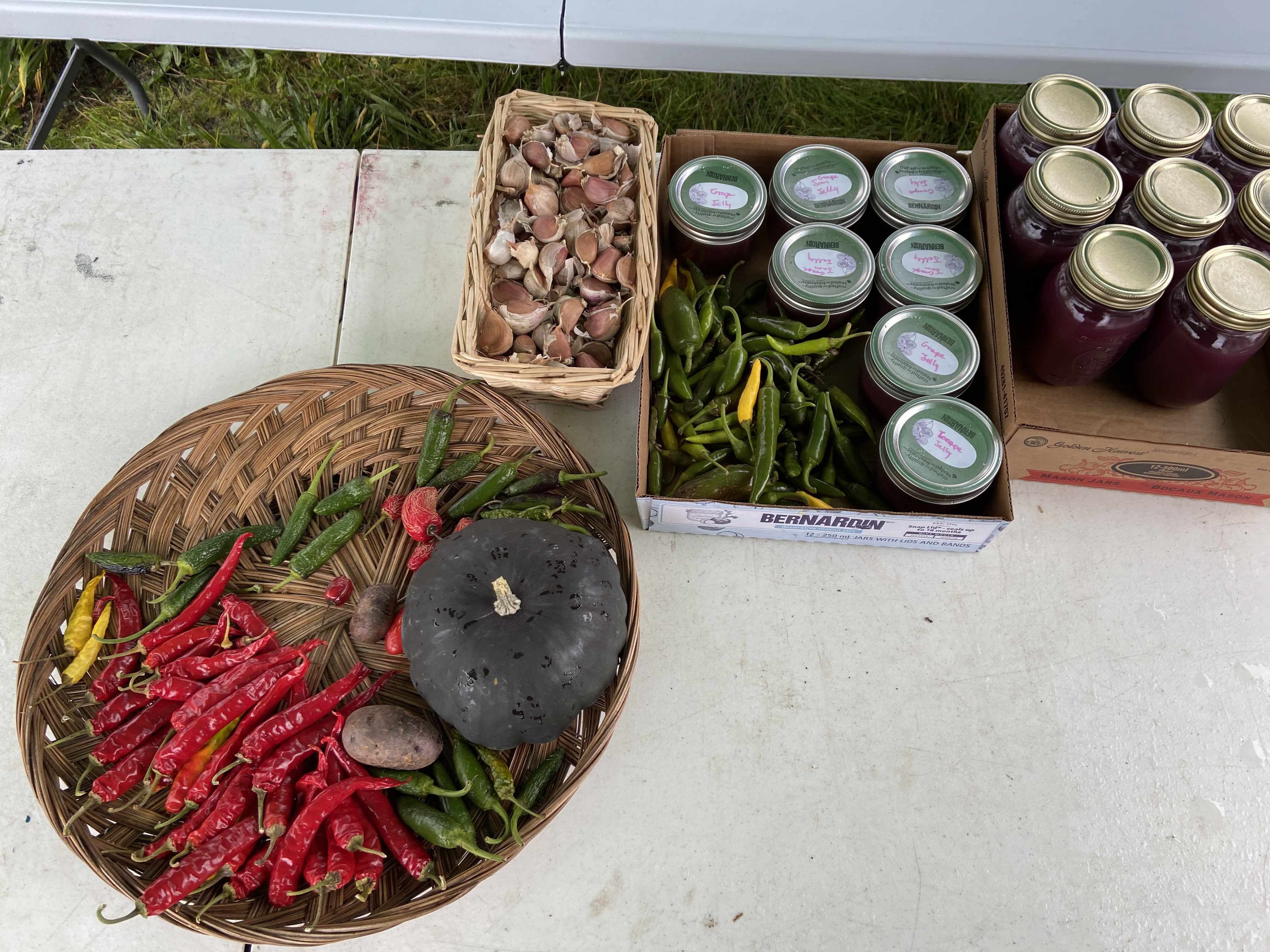 a bowl of chillies and squash, a bowl of garlic cloves and two flats of homemade preserves laid out on the table