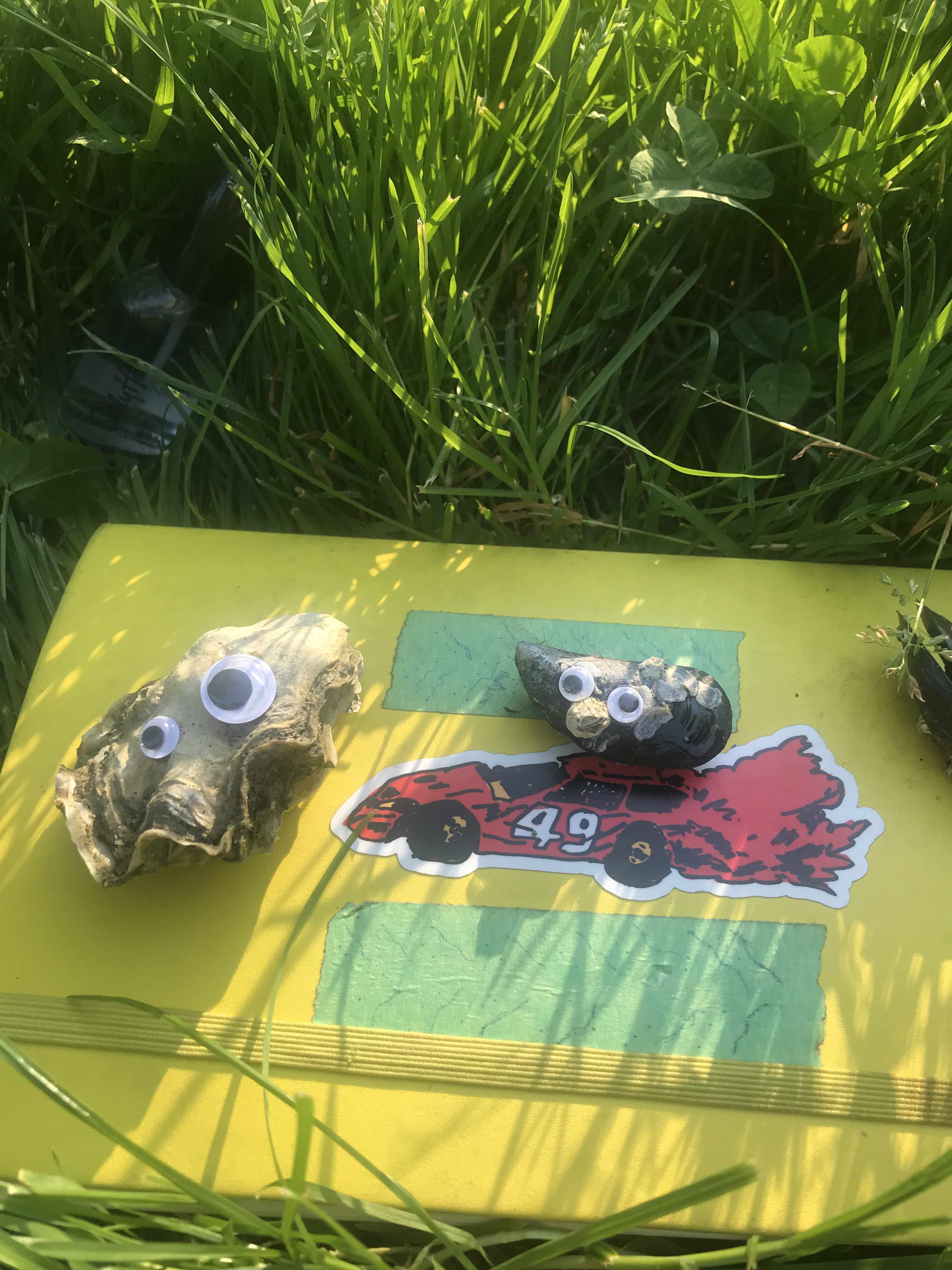 a notebook on a field of grass, with a sticker of a car and painters tape on the notebook. there is an oyster shell and a muscle shell on the notebook, and on the shells are 3D stickers of googley eyes