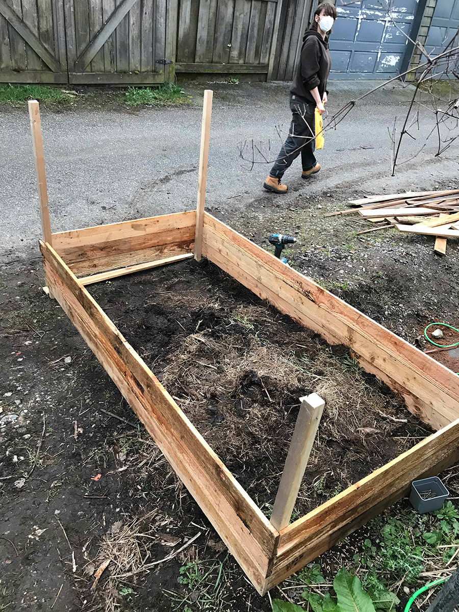 a photo of vivienne in the back walking away from a wooden box that is in the middle of being built to create a raised garden bed