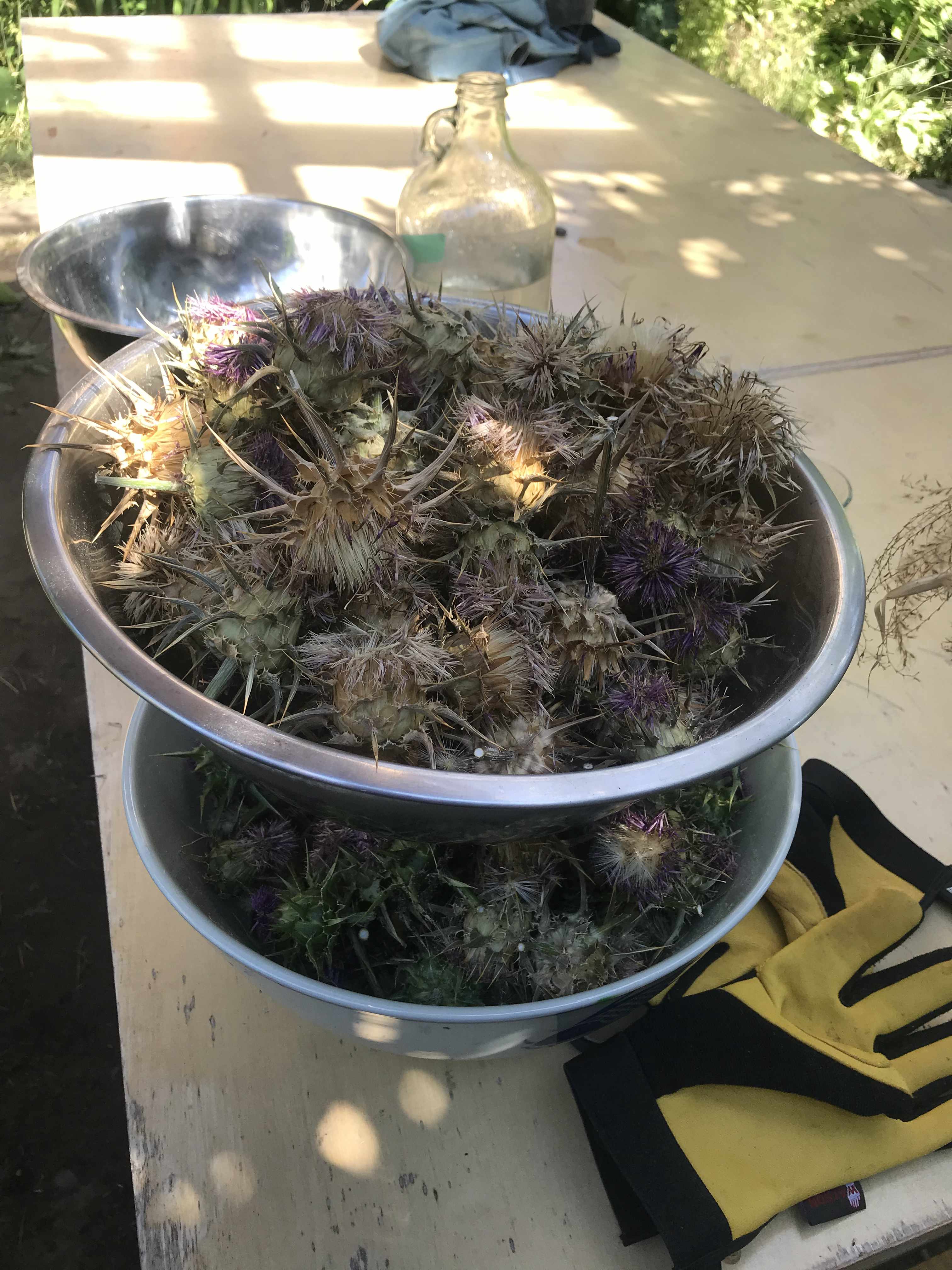 two large bowls stacked on top of each other of dried milk thistle flowers on a table
