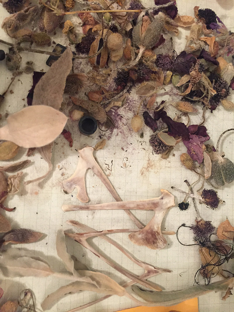 a piece of grid paper with dried flowers and plants and wishbones
