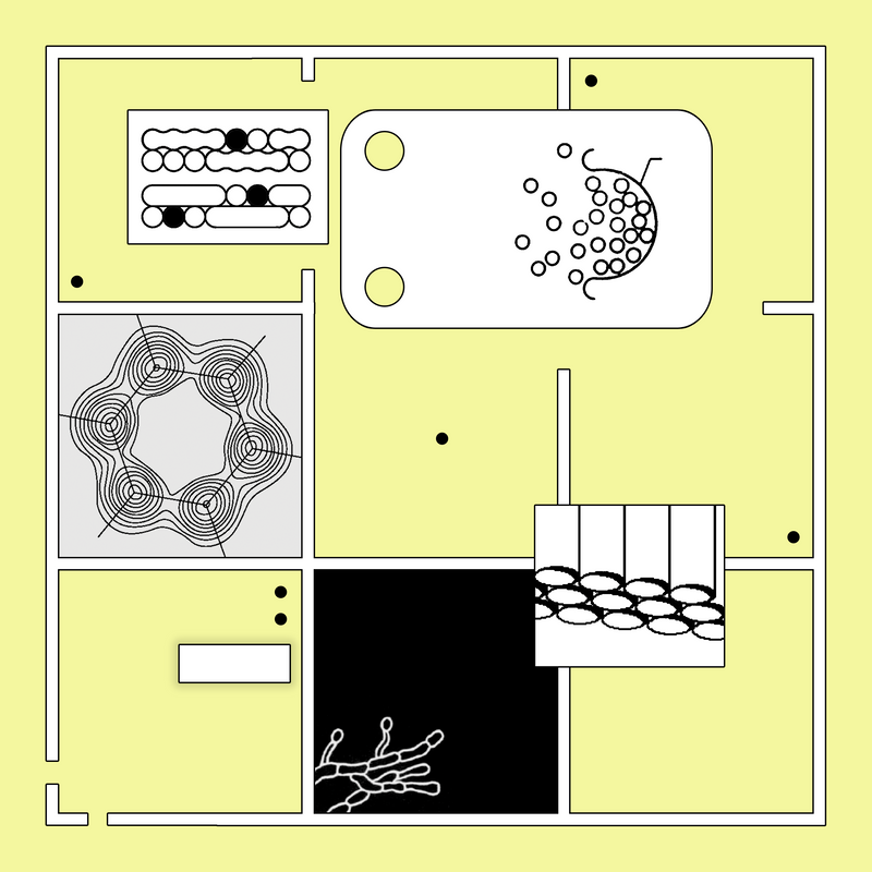 a discontinuous three-by-three grid with various components resembling abstract scientific diagrams