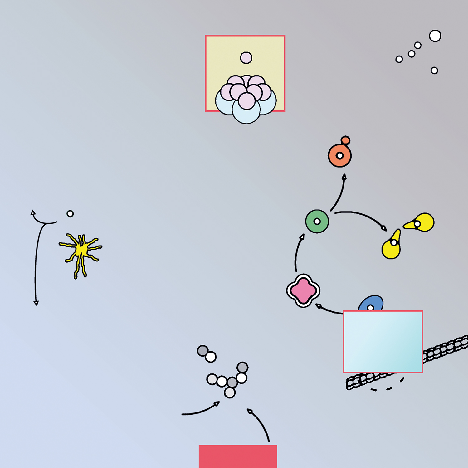 discrete and round particles in various configurations are connected by curved arrows to rectangular, cylindrical, and tentacled shapes