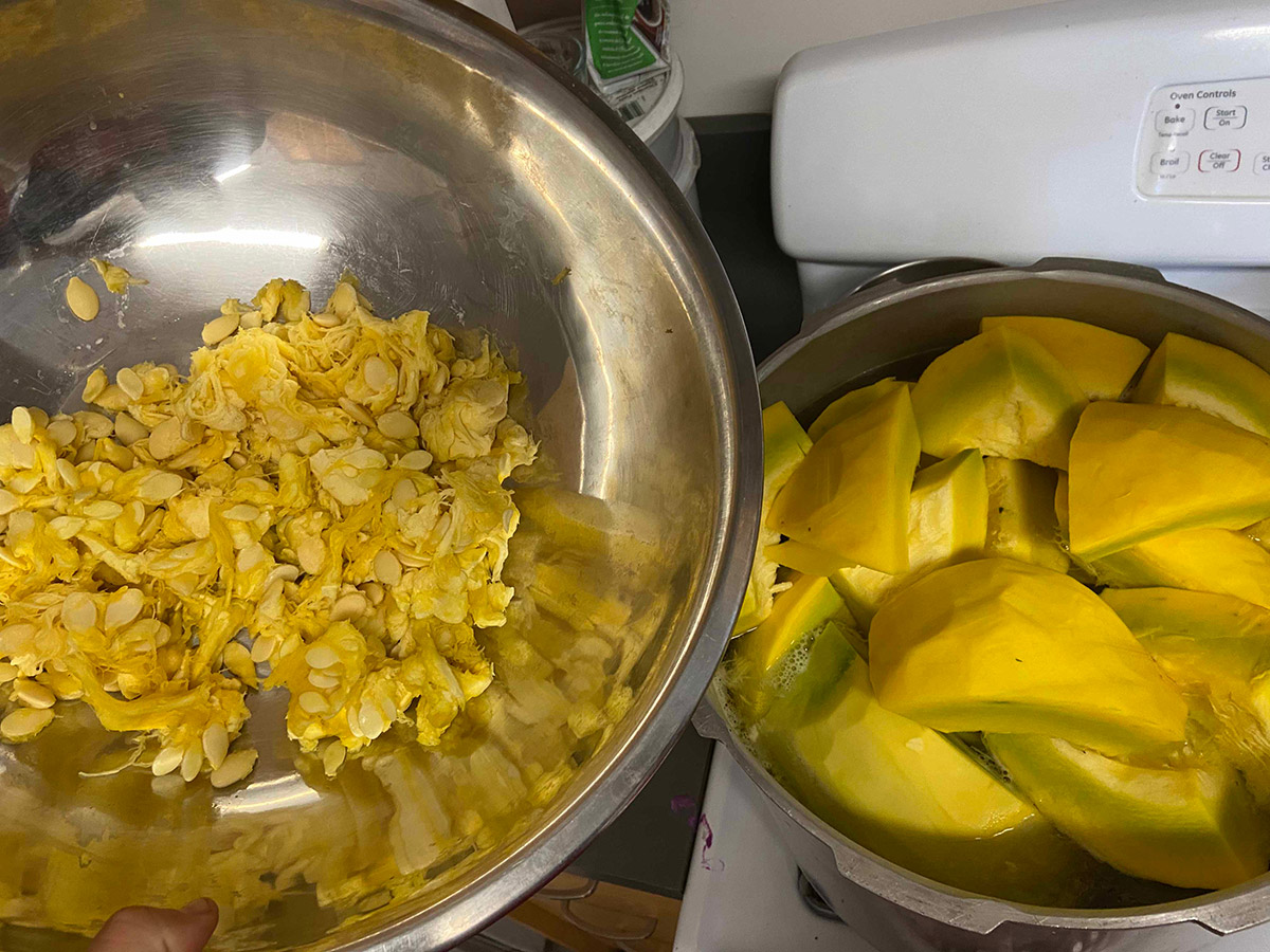 A metal bowl containing squash seeds beside a bowl containing cut up pieces of squash flesh