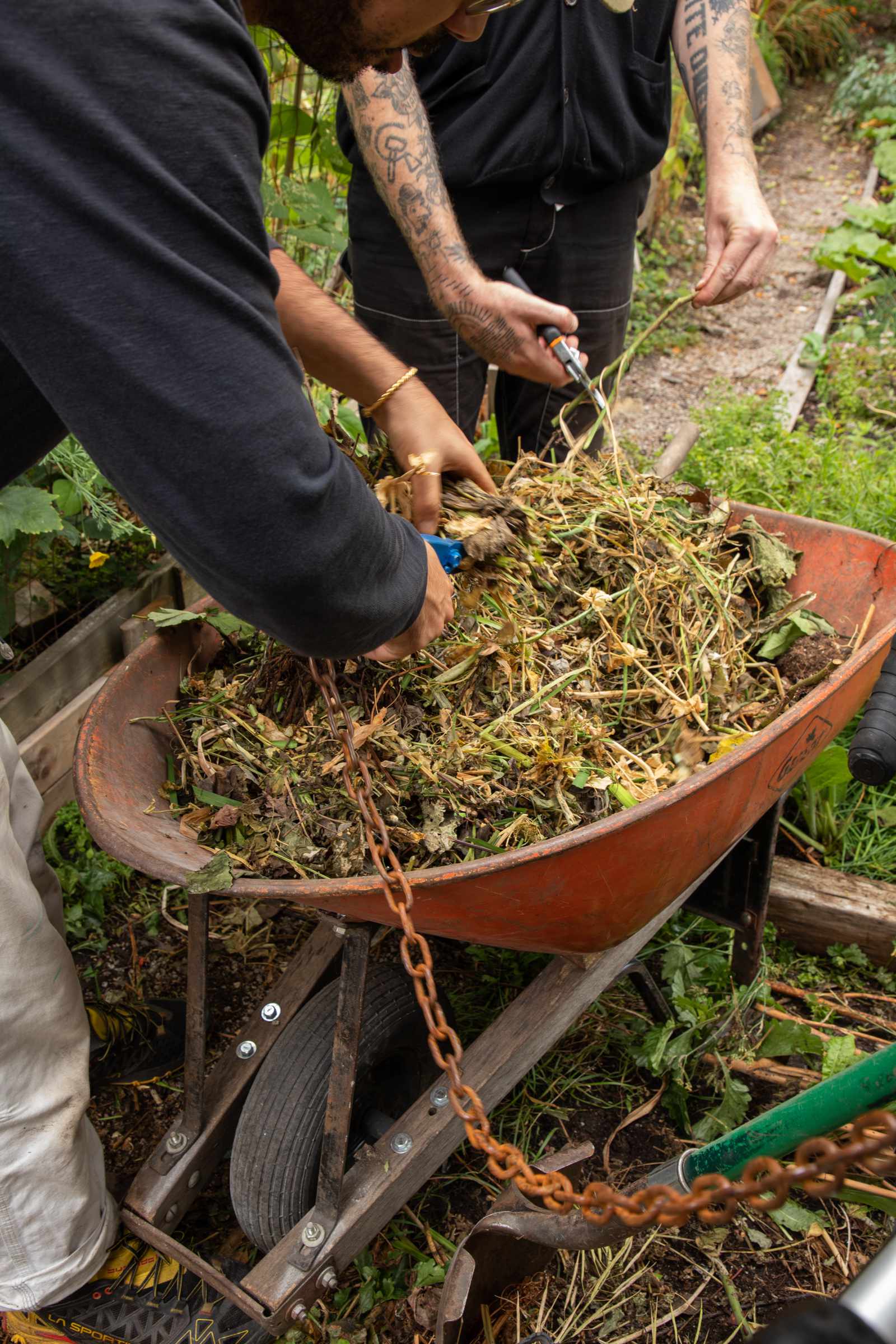 Derya bent over a wheelbarrow full of compost alongside a person with tattos on their arms