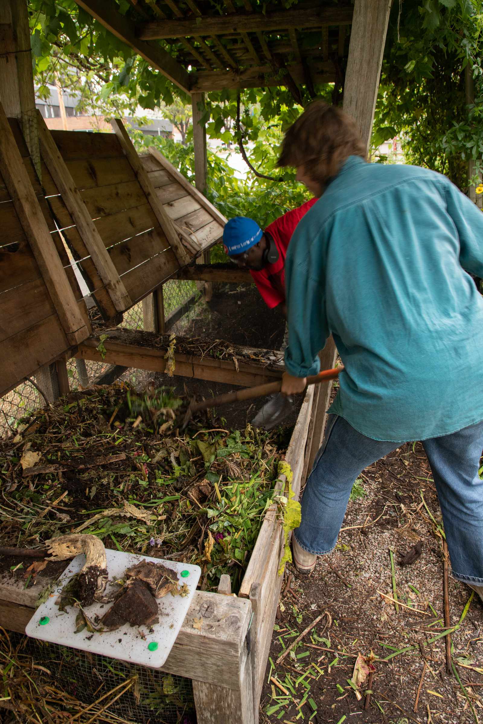 Vivienne and another person are mushing thcompost in the designated boxes in an effort to get it to bloom into fertalizer