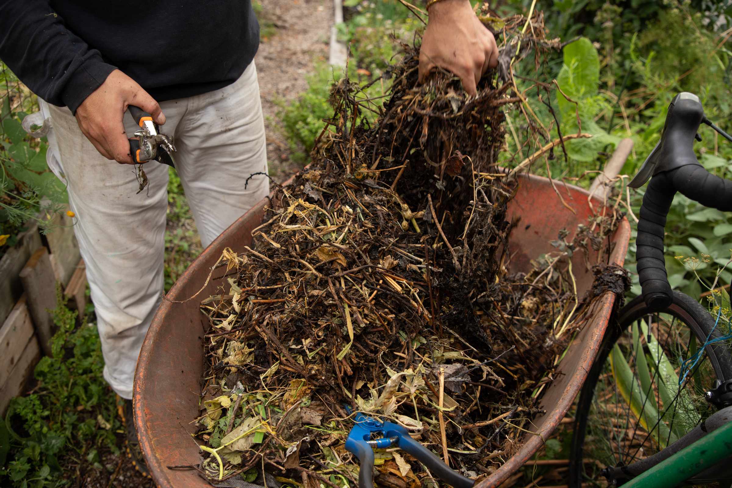 Derya holding sheers beside a wheelbarrow full of plant matter destined for the compost heap