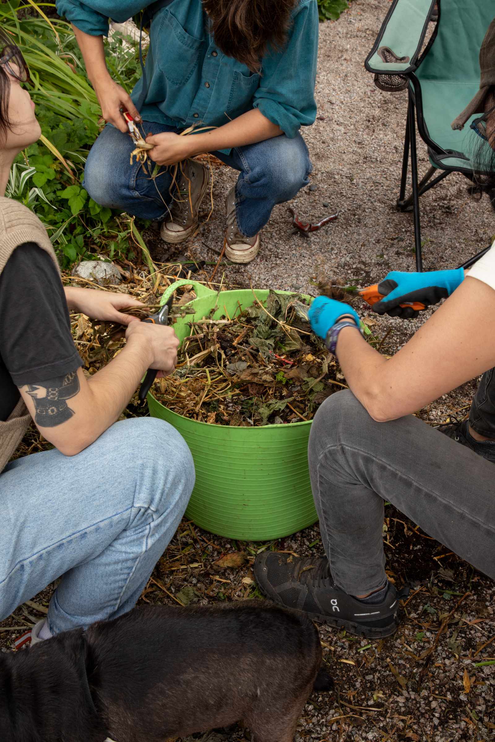 three people crouch around a wheel barrow crunching up plants for the compost heap