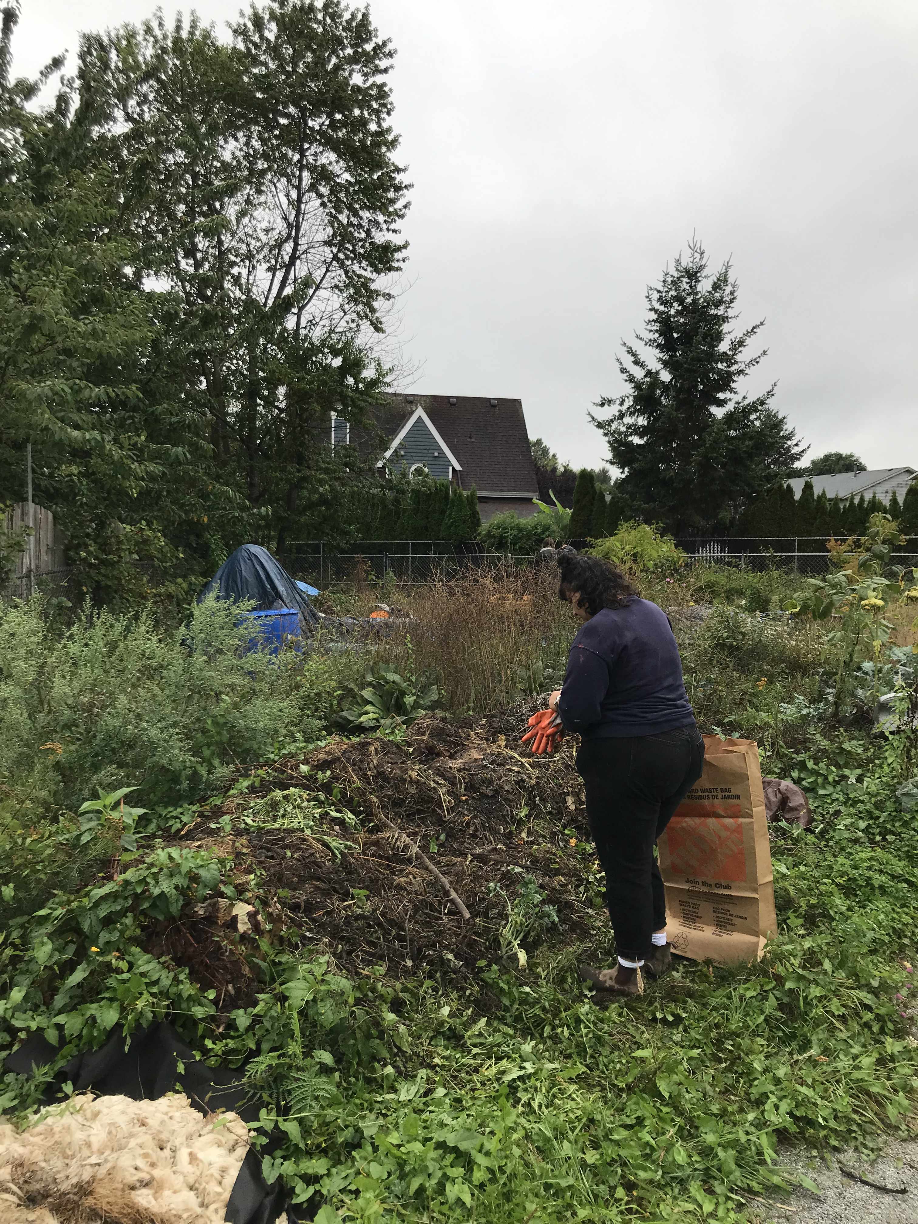 a person with a big yard trimmings bag looking like they are about to tackle a large heap of composting plant materials in a garden