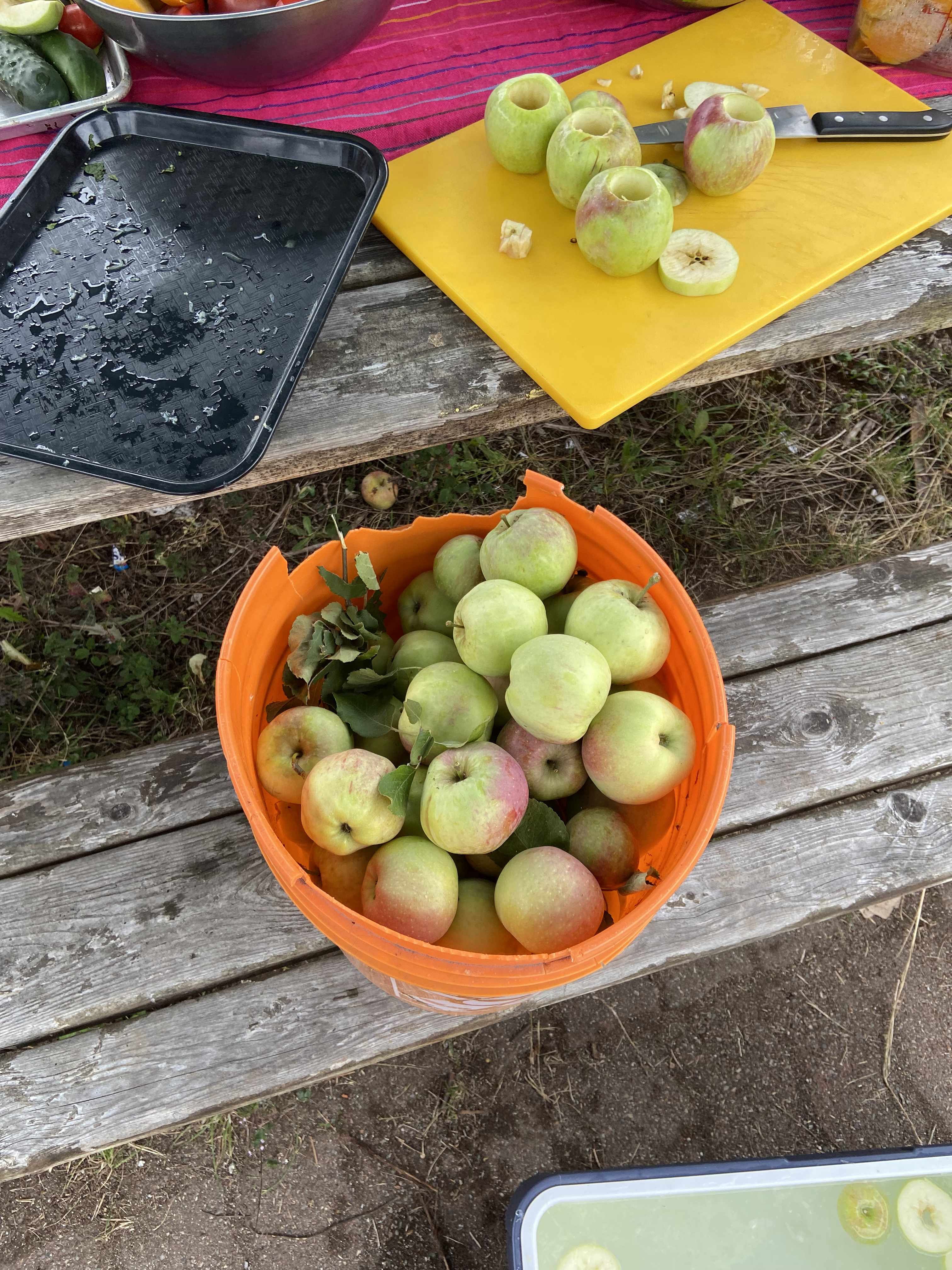 a bowl of apples sitting in a picnic bench turned work table. a cutting board with the apples that have been cleaned and cored are on top of the table