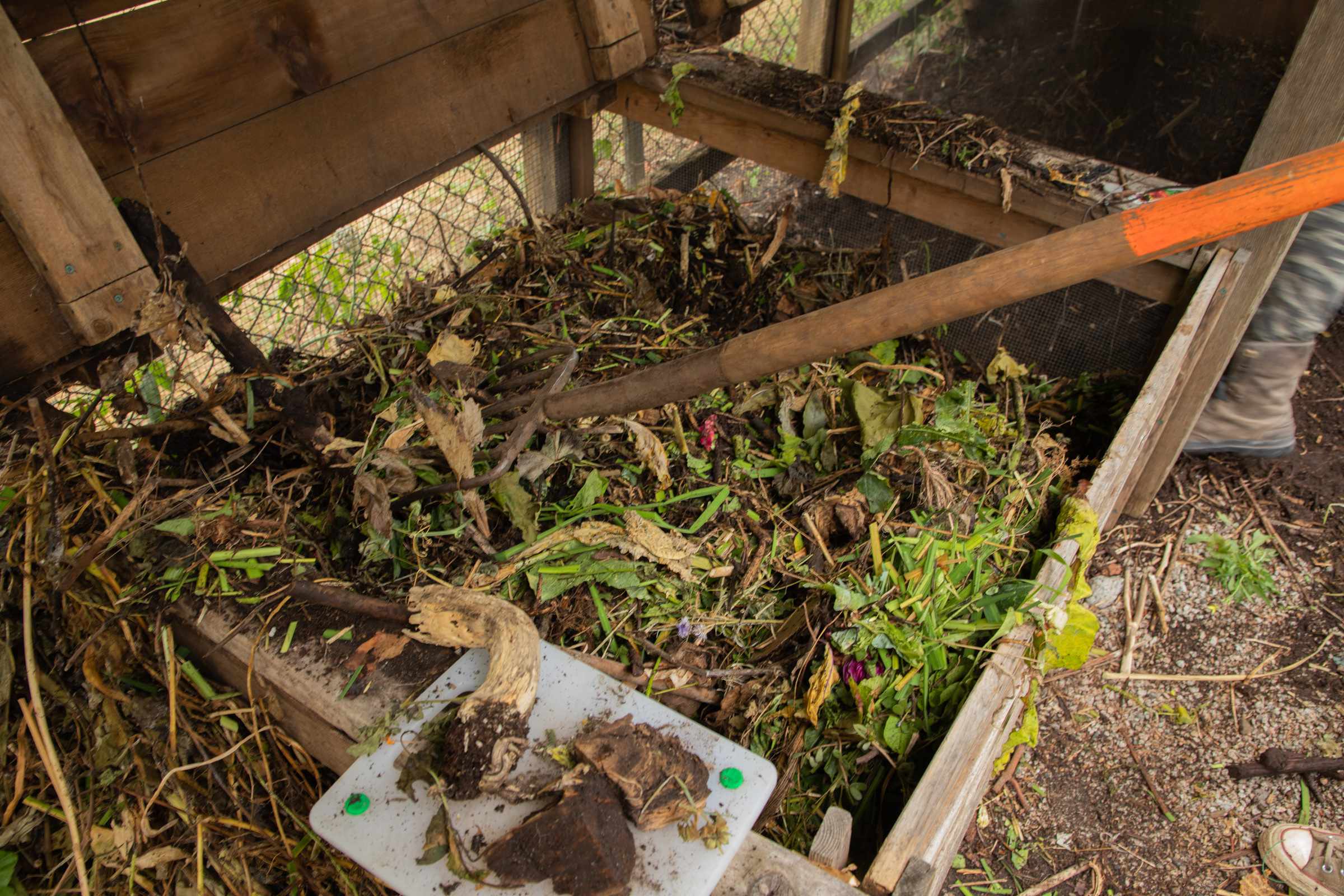 a rake enetering a compost bin at elisabeth rogers community garden