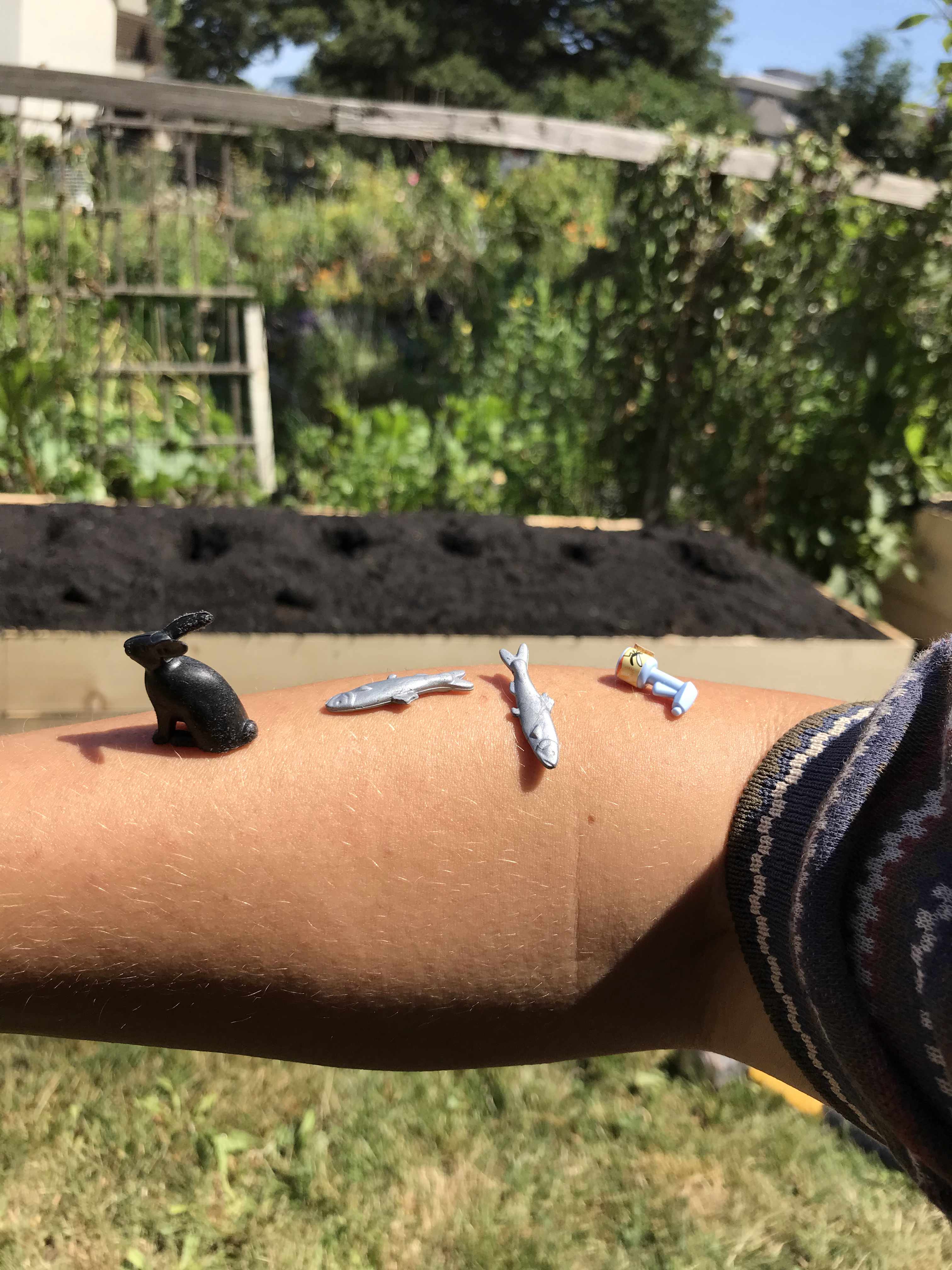 an arm of a person in the foreground, with small plastic toys of a hare, and two salmon and a flashlight resting together. in the background is fresh soil heaped garden bed.