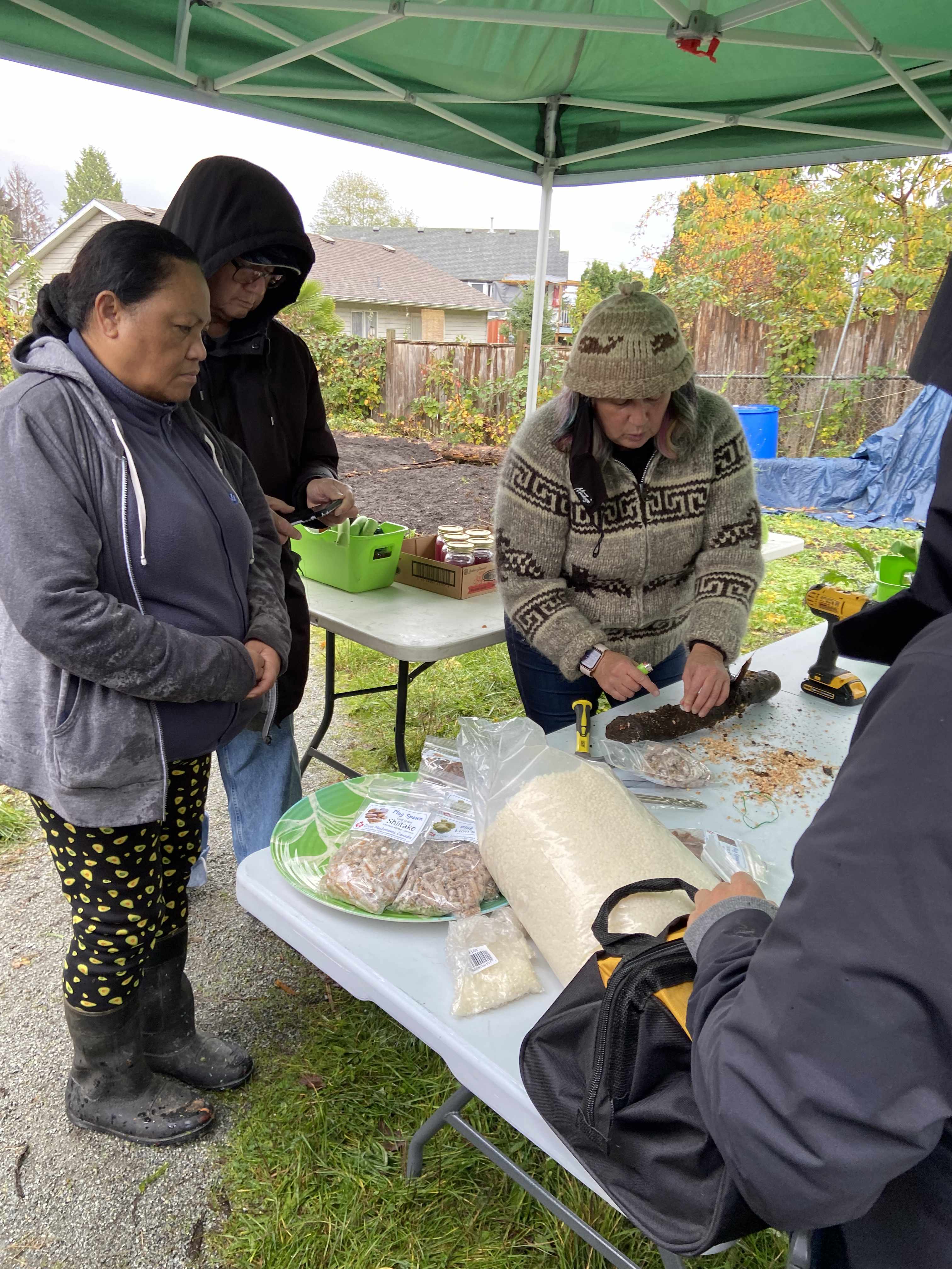 cease demonstrating how to inoculate mushrooms spores into a log on a foldable table in harmony garden. thre are a group of three people observing her, everyone is outside under a tent in the rain