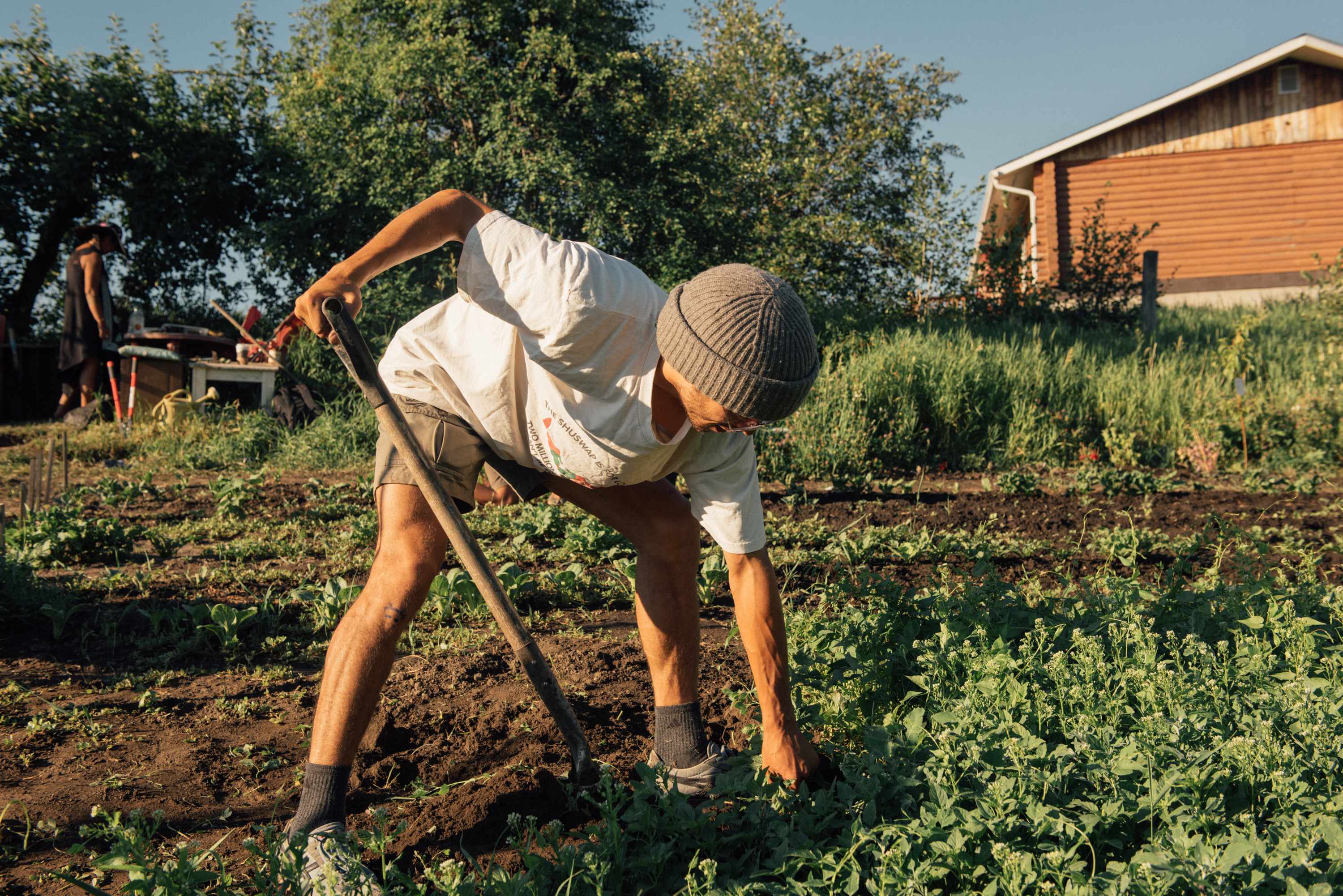 someone in a garden, with a shovel in one hand, reaches down into the soil